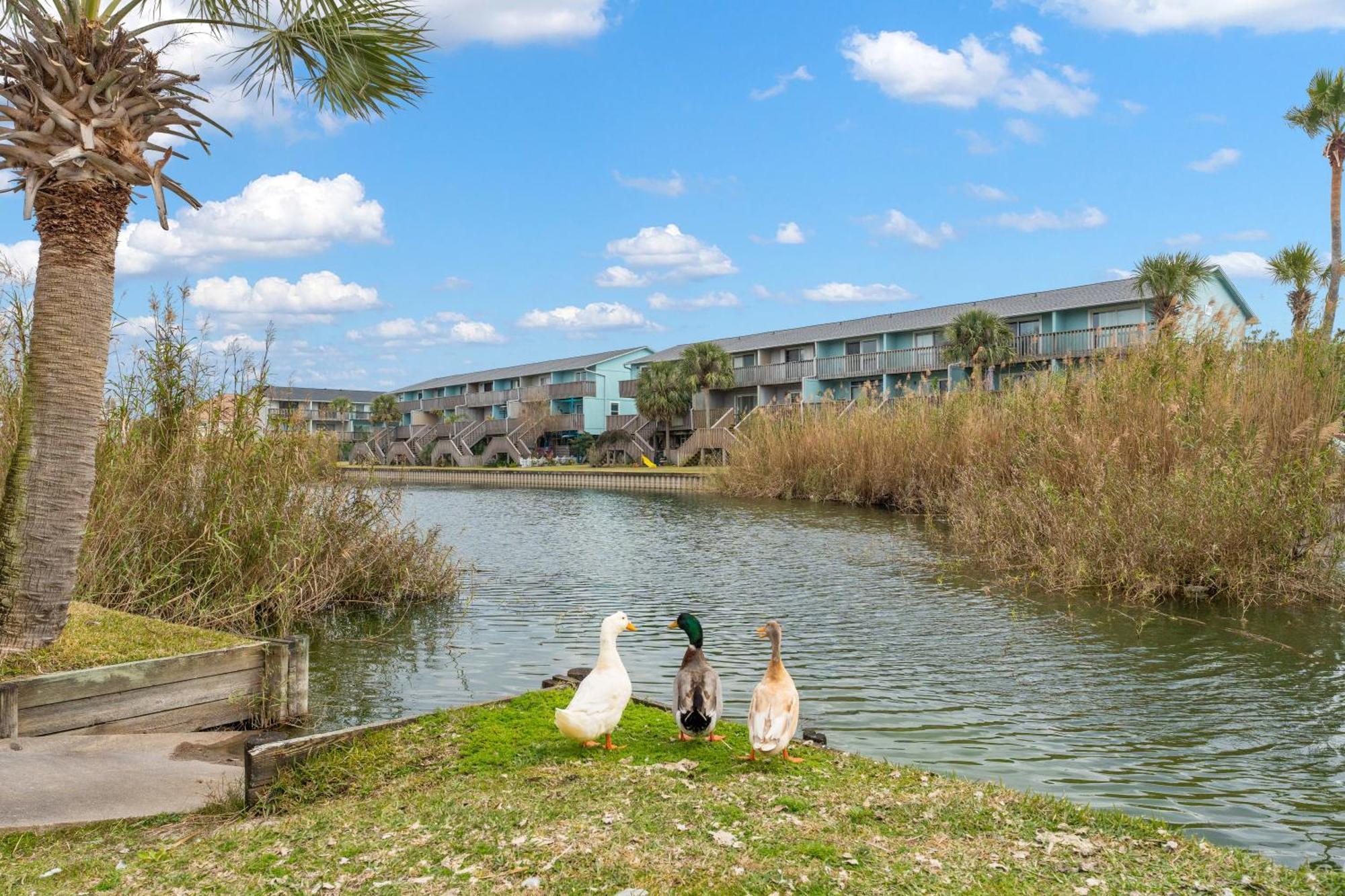 Villas On The Gulf L1- Ocean View Steps To Beach! Pensacola Beach Exterior foto